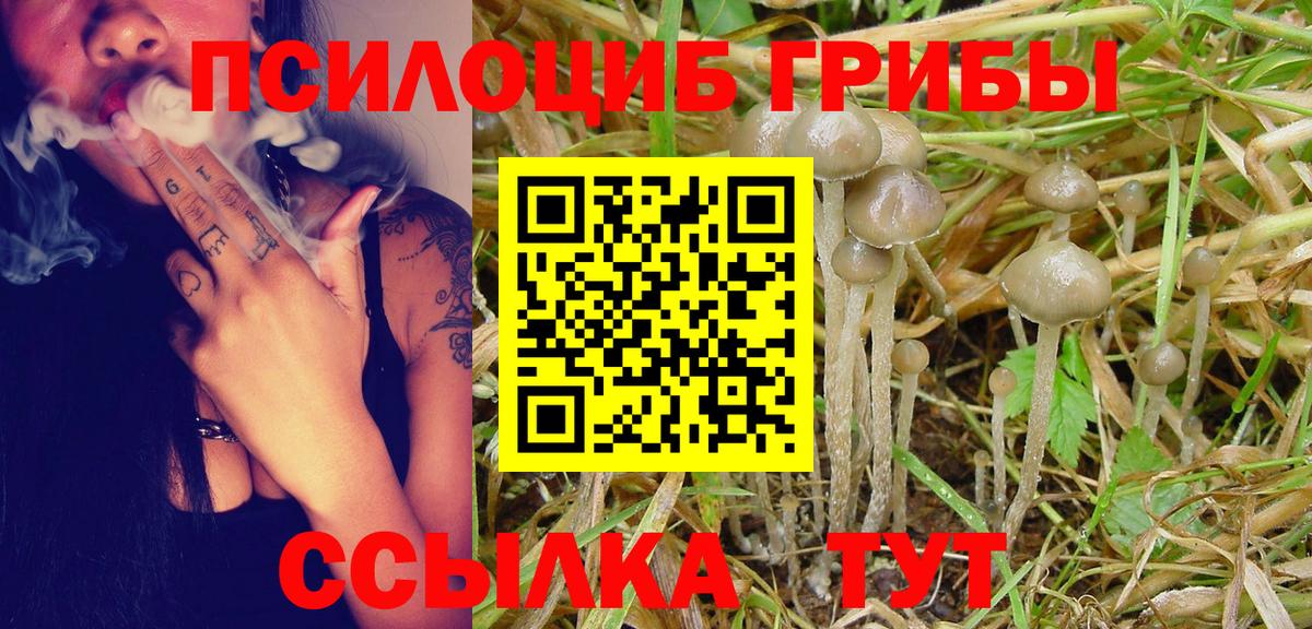 как найти закладки  Галлюциногенные грибы мицелий  Вход с VPN  Баксан 